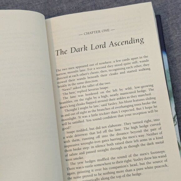 Harry Potter and the Deathly Hallows Hardcover Book - Picture 9 of 13